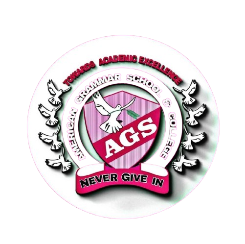 Ameircan Grammar School & College Logo